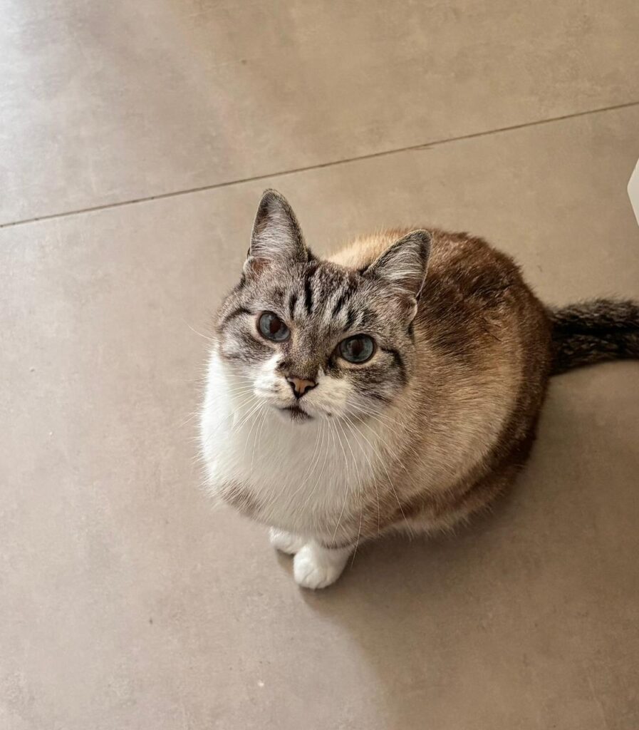 WhatsApp Image 2025-11-28 at 06.31.46 (1)