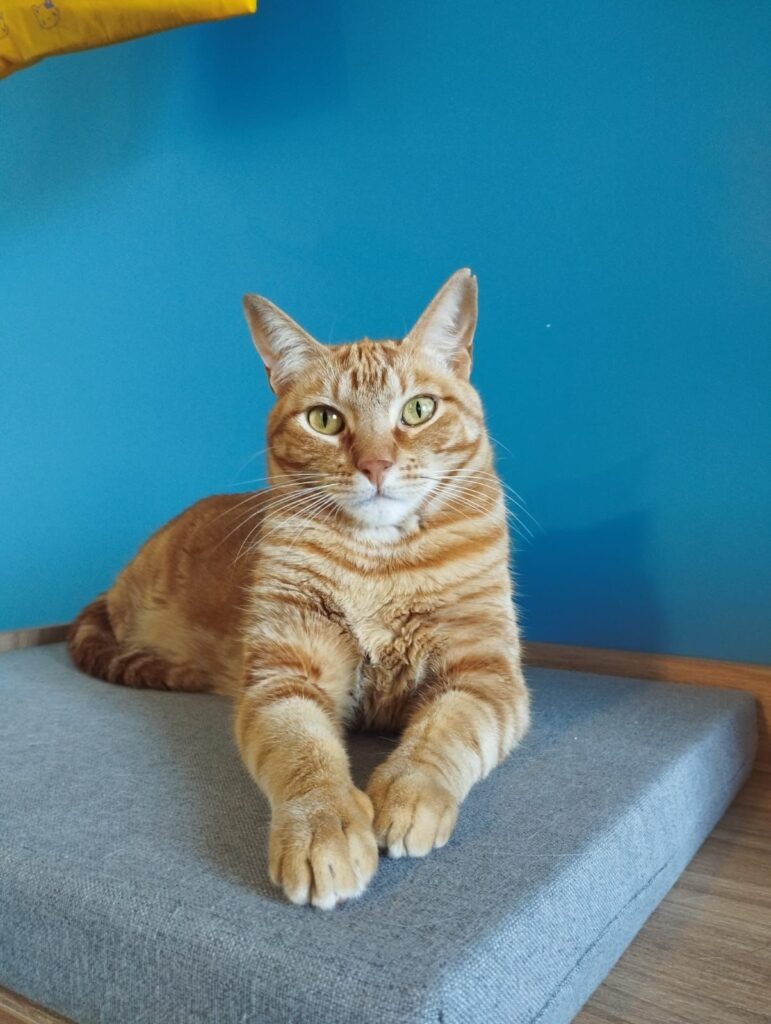 WhatsApp Image 2025-11-28 at 06.31.46