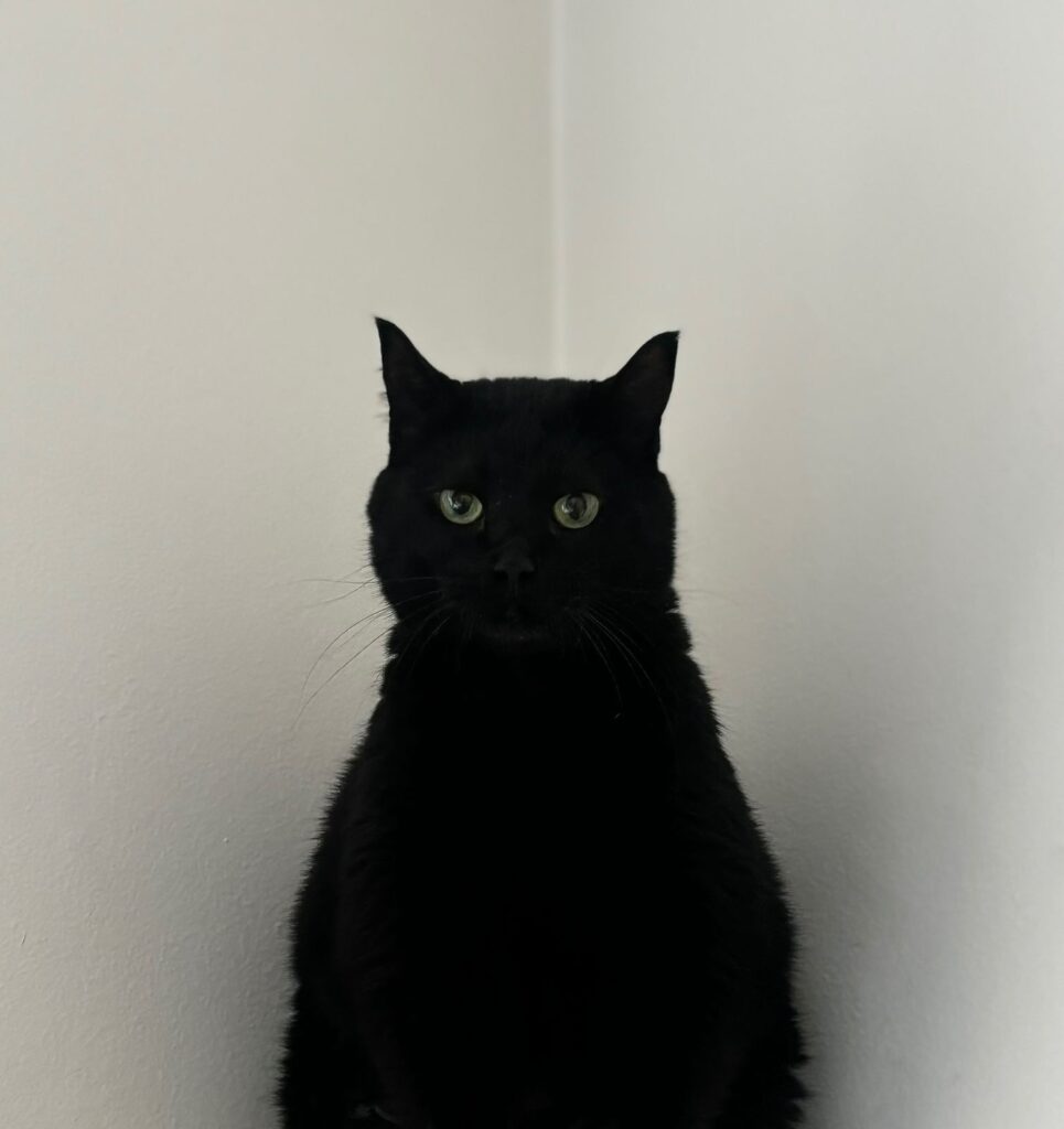 WhatsApp Image 2025-12-03 at 13.08.41 (1)