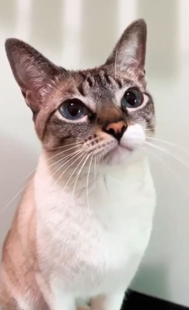 WhatsApp Image 2025-12-04 at 08.53.35